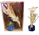 Reed Fragrance Oil Diffuser Gardenia Scented